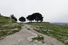Pergamum The Altar of Zeus
