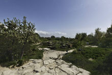 Troy Site View 1