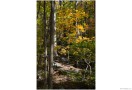 CandO_Canal_Autumn_72