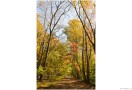 CandO_Canal_Autumn_77